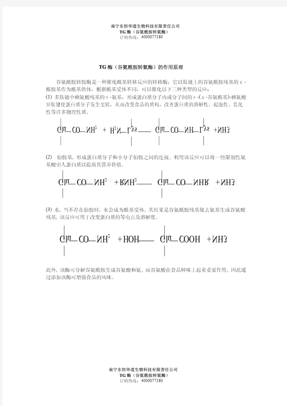 TG酶(谷氨酰胺转氨酶)的作用原理