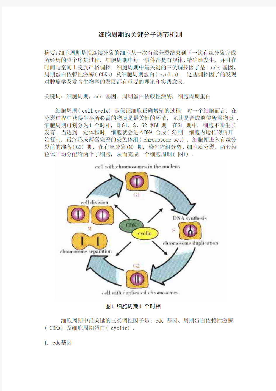 细胞周期的关键分子调节机制论文 (1)