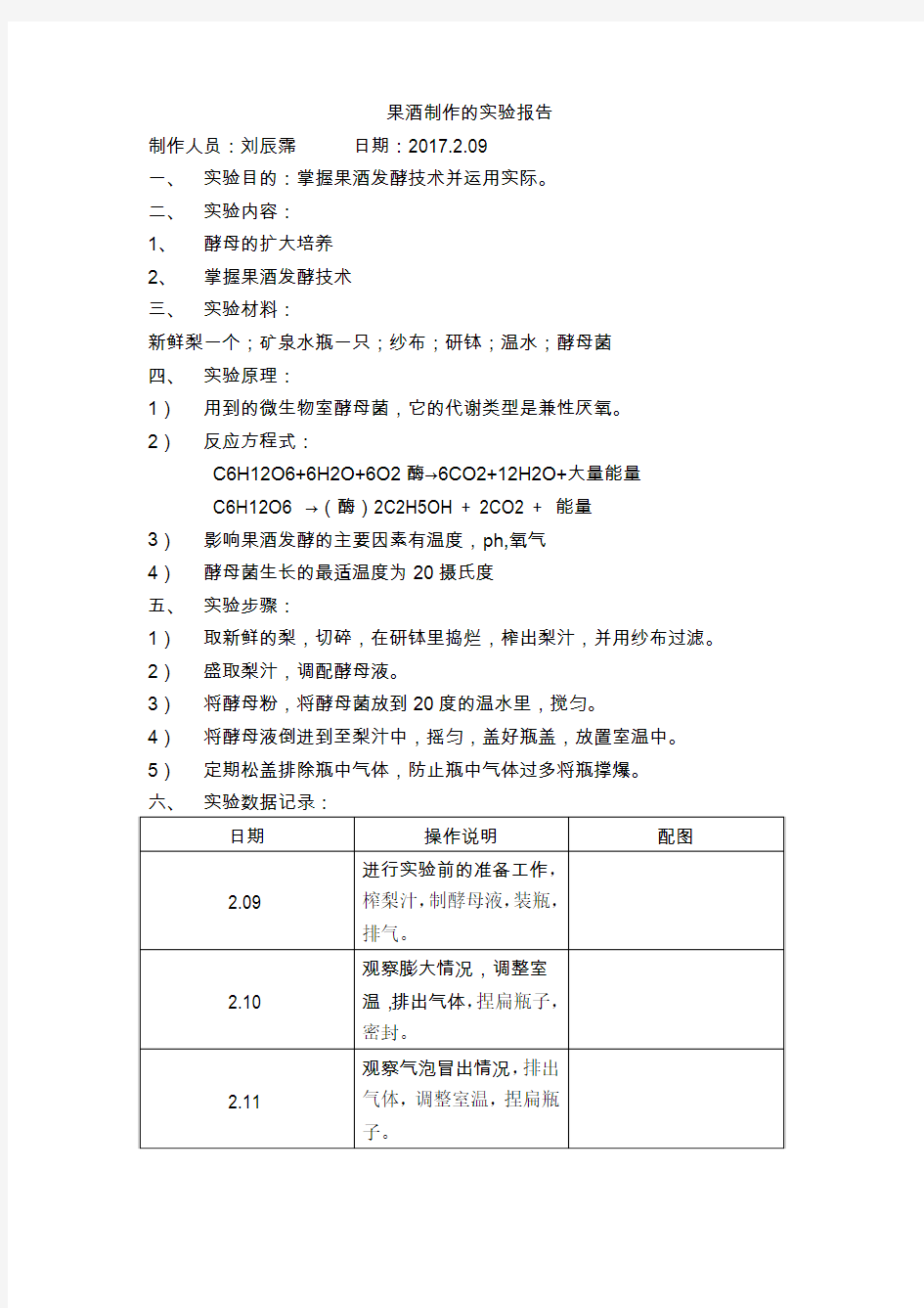 果酒制作的实验报告