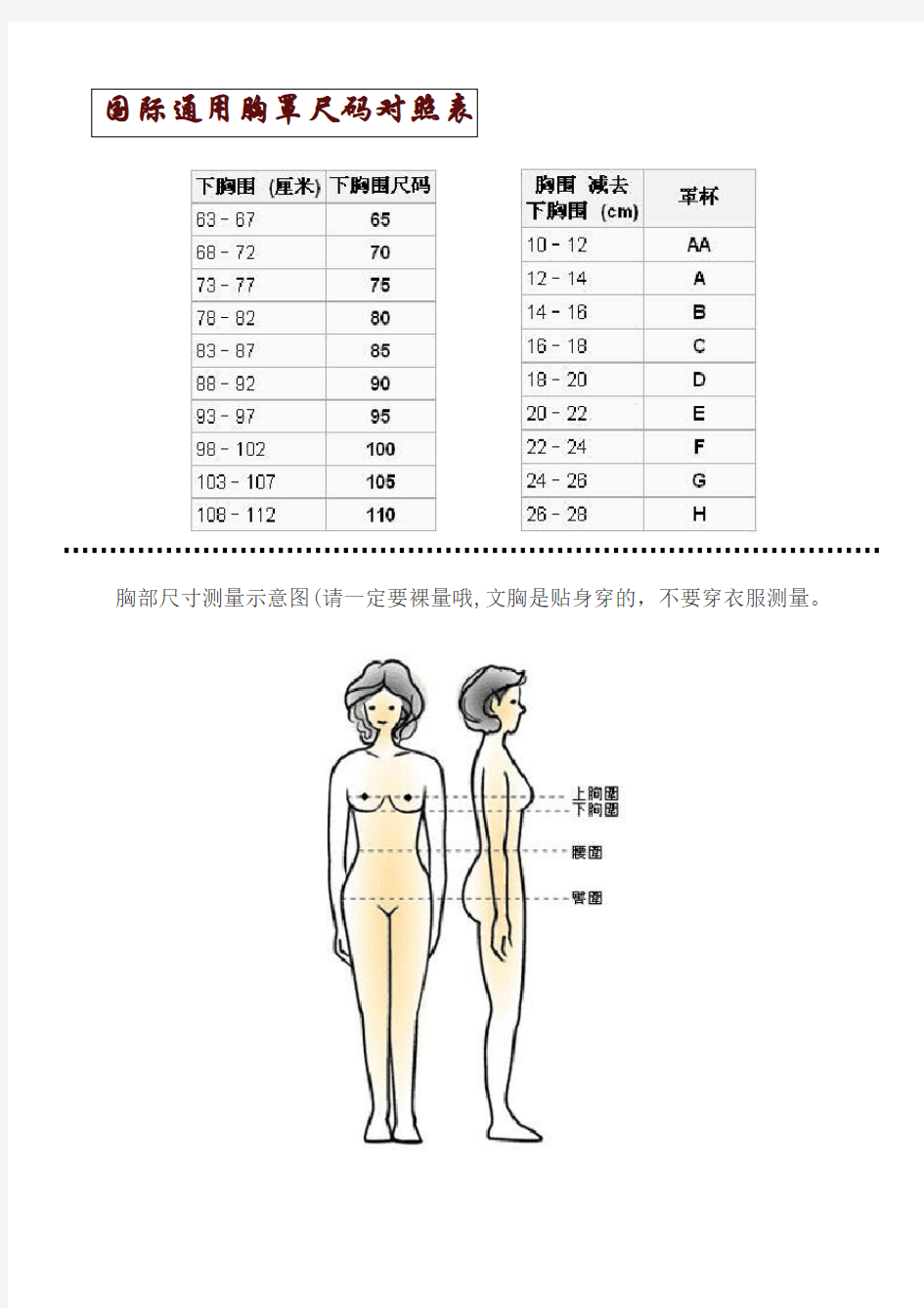 国际通用胸罩尺码对照表-及其他