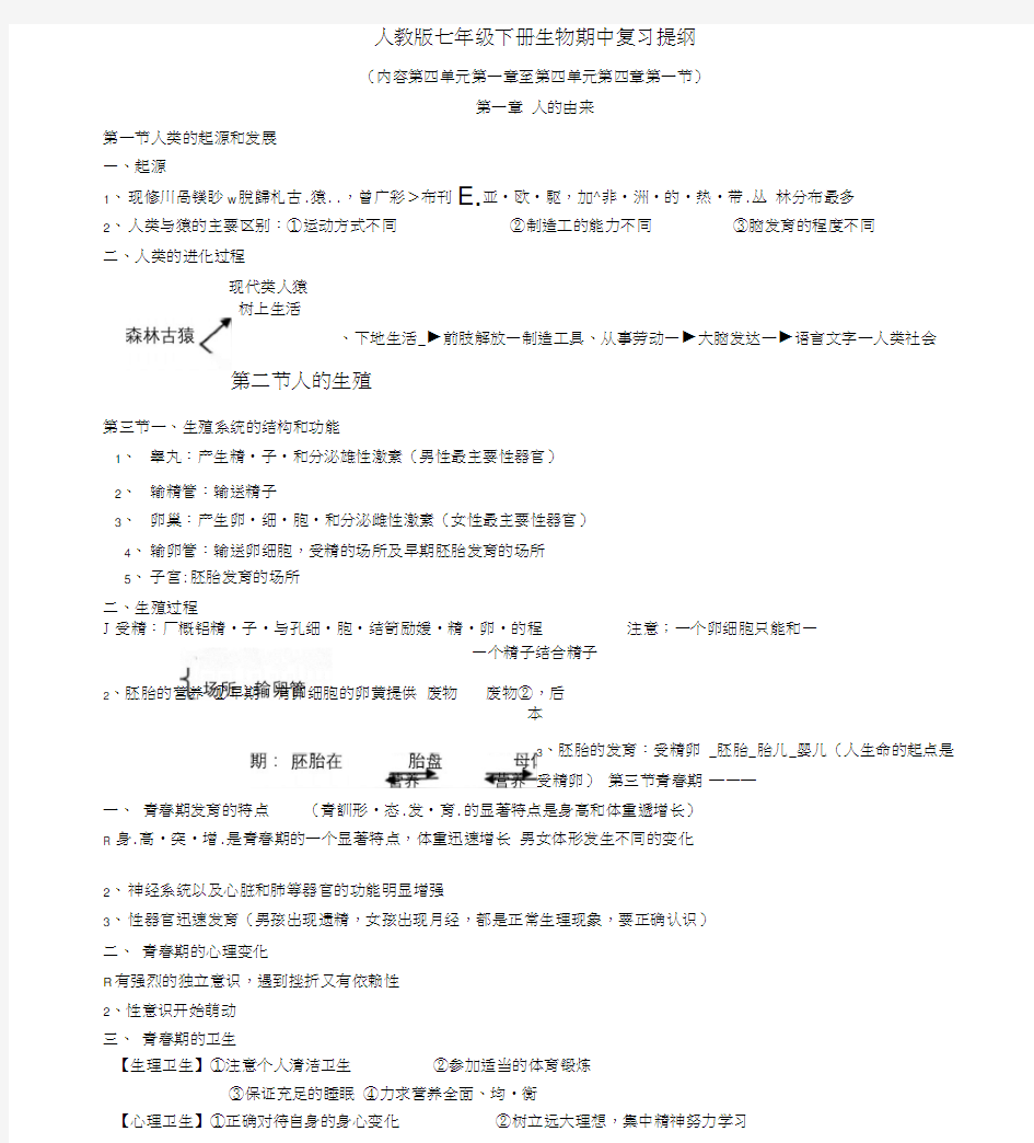 人教版七年级下册生物期中复习提纲