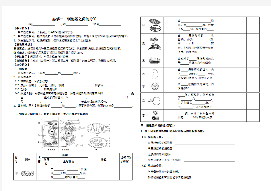 细胞器之间的分工合作填空版