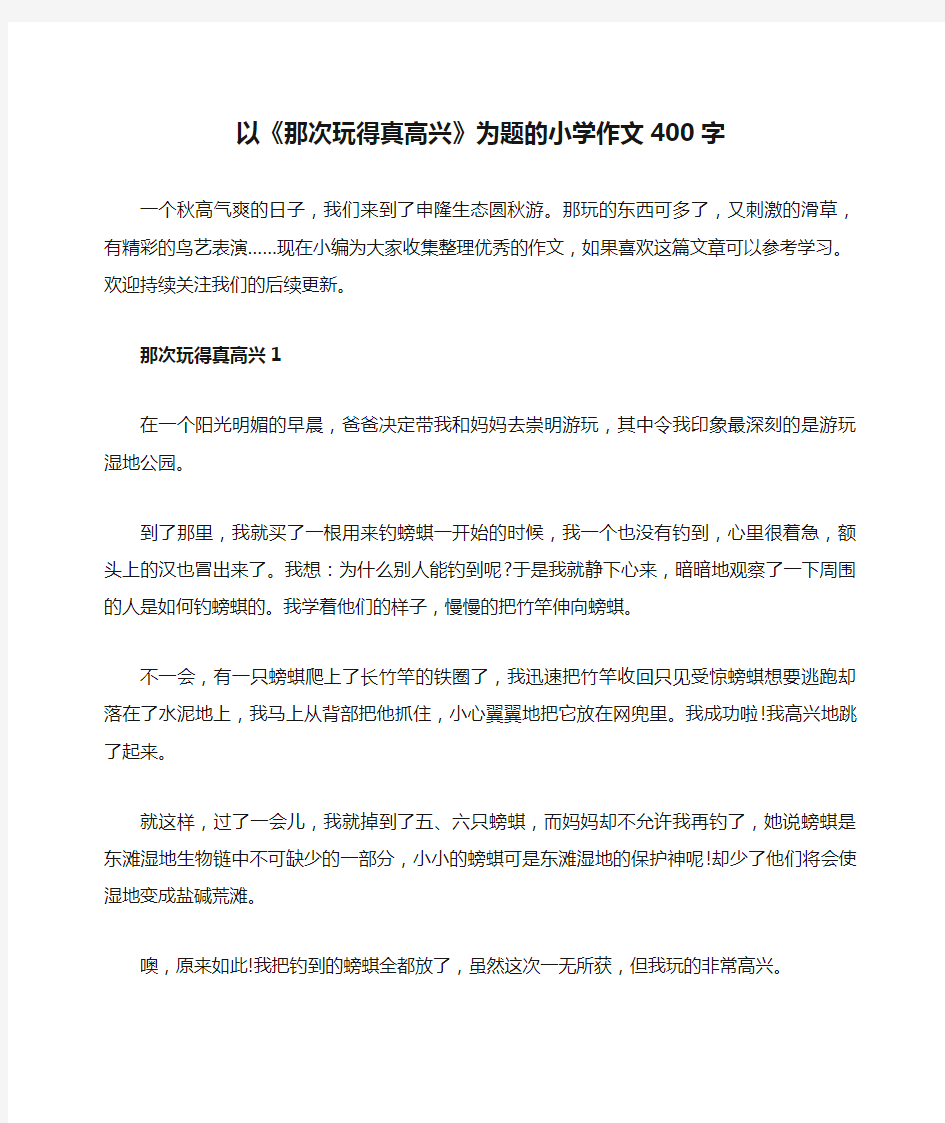 以《那次玩得真高兴》为题的小学作文400字