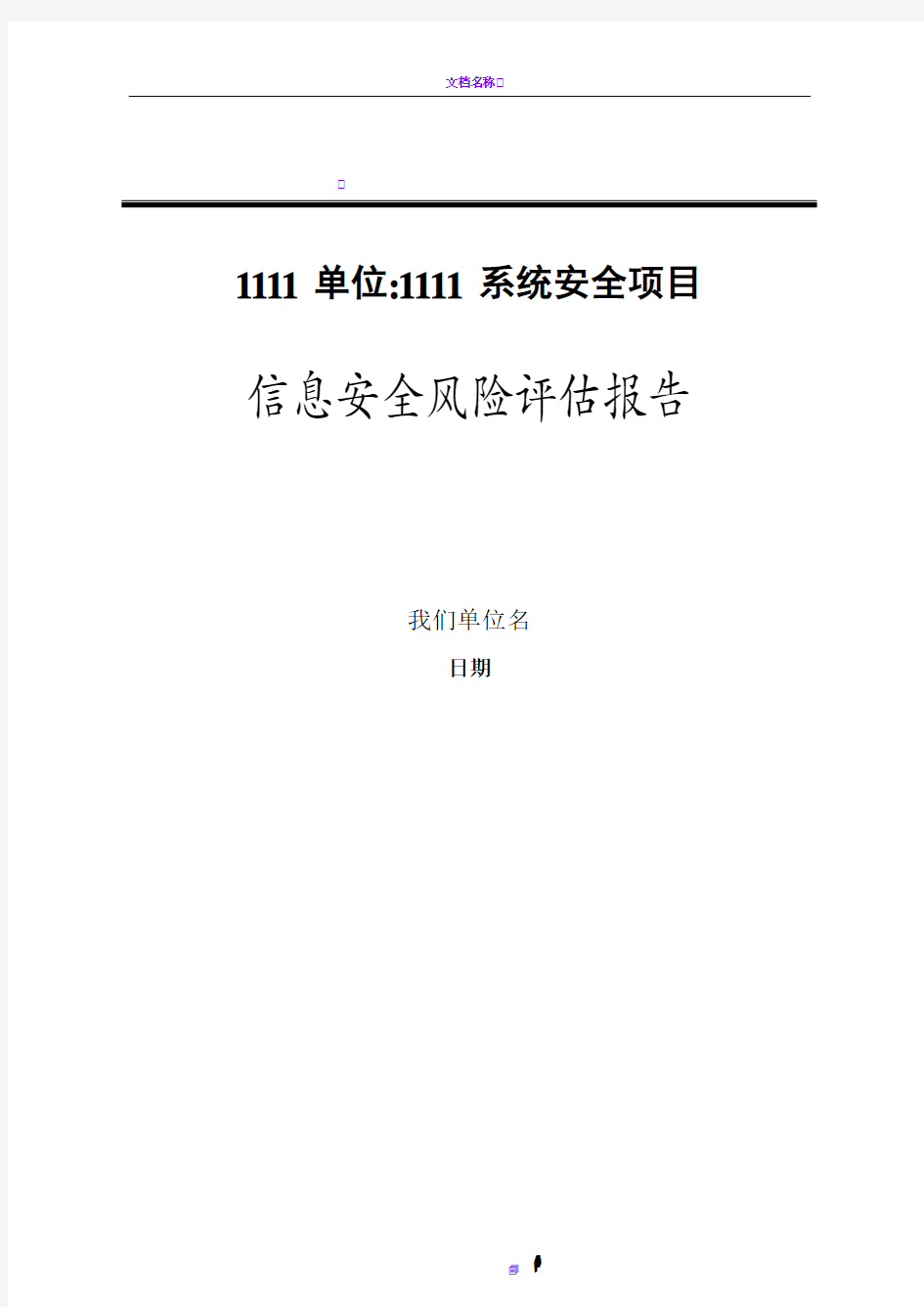 信息安全风险评估报告