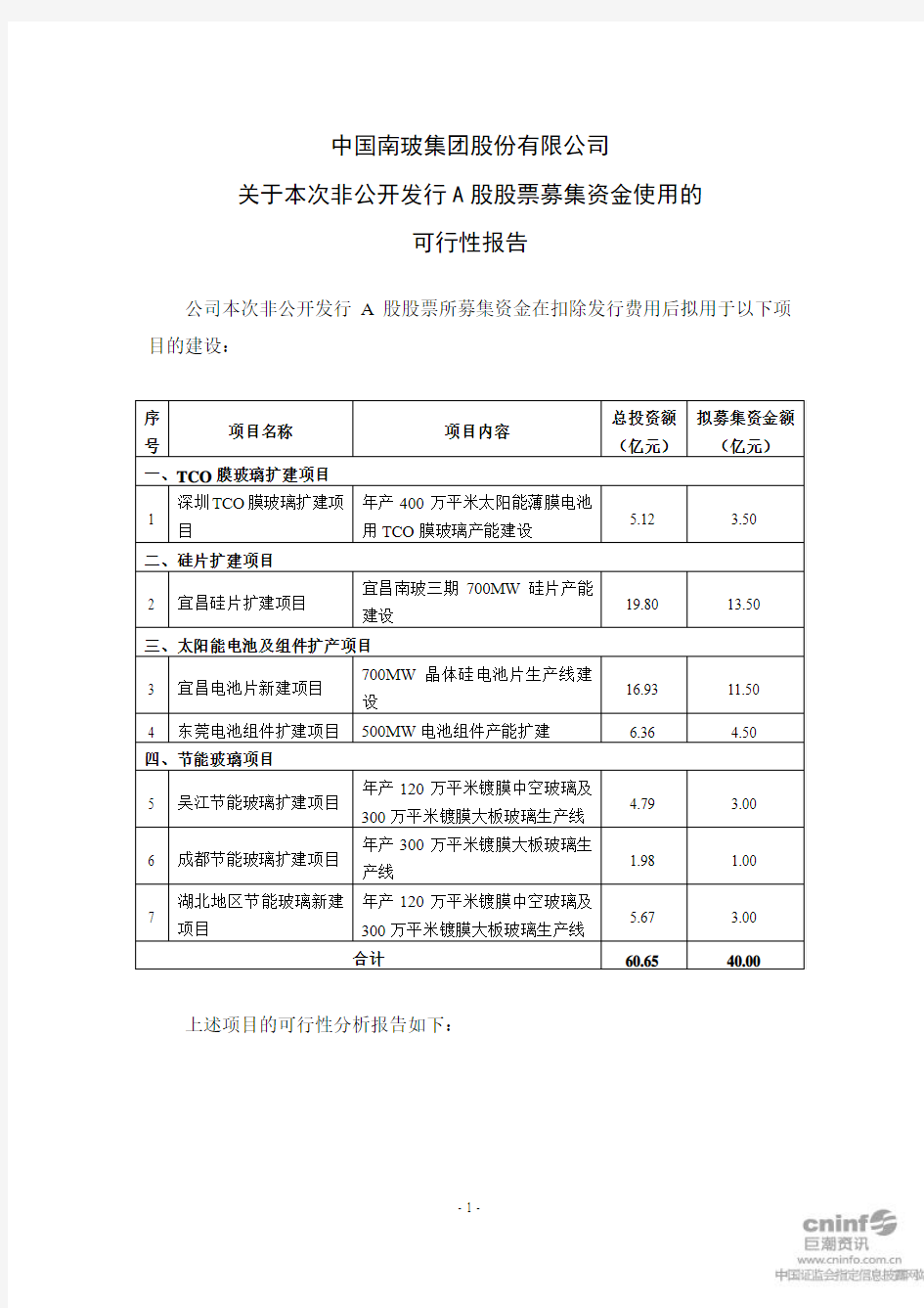 南  玻A：关于本次非公开发行A股股票募集资金使用的可行性报告 2011-01-19