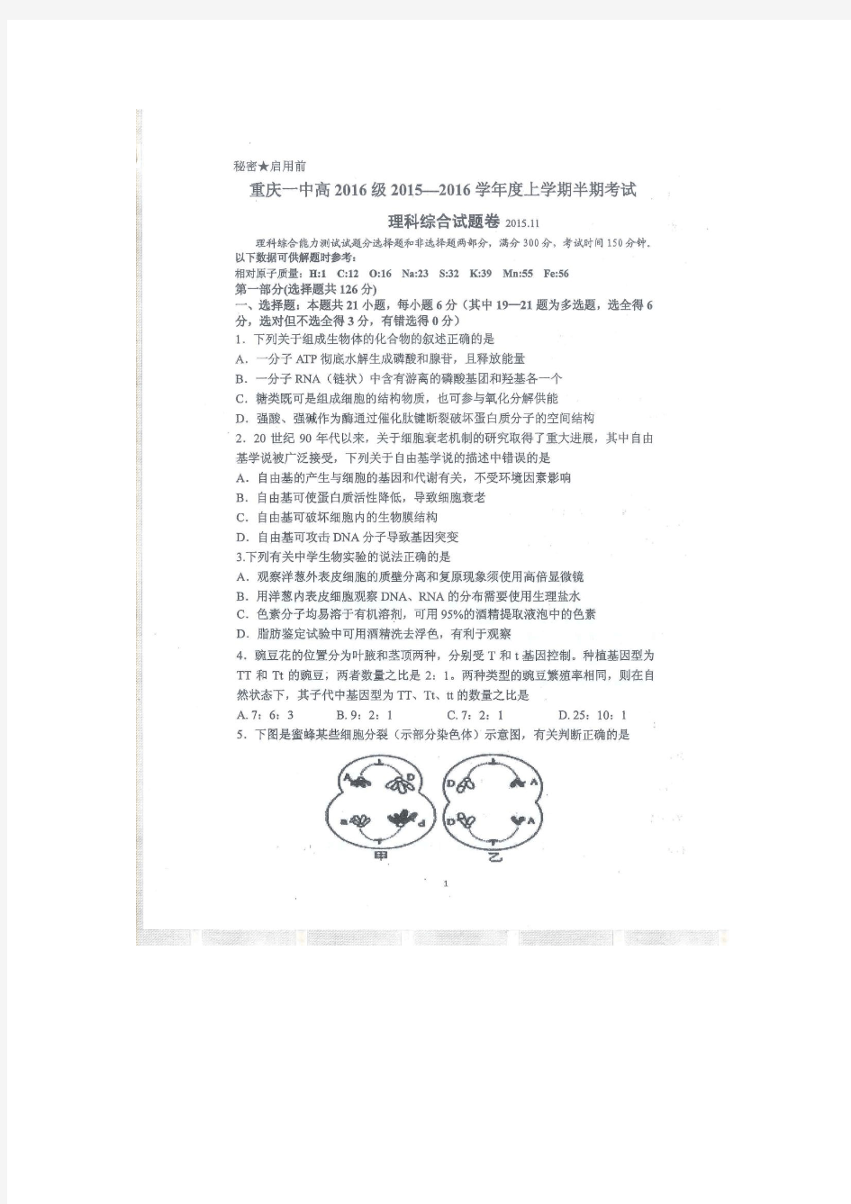 重庆市第一中学2016届高三上学期期中考试理科综合试题(扫描版)