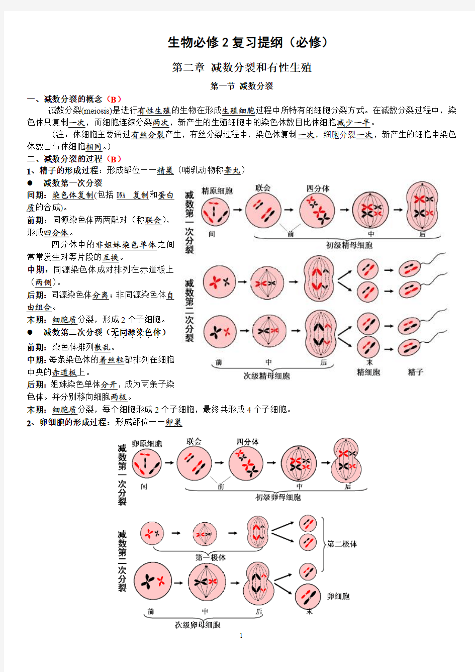 高中生物学业水平测试知识点必修2