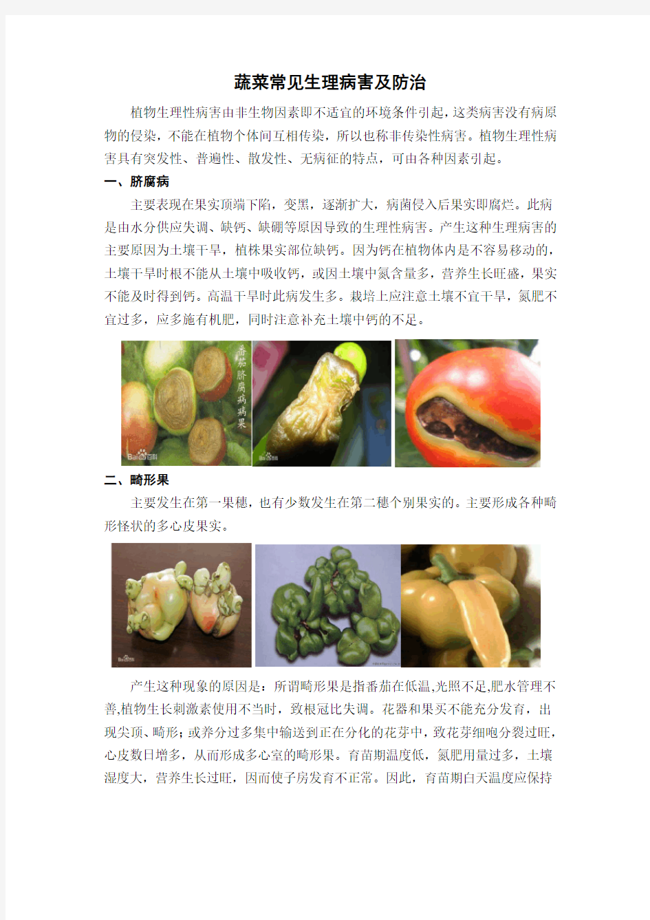 6qf蔬菜常见生理性病害