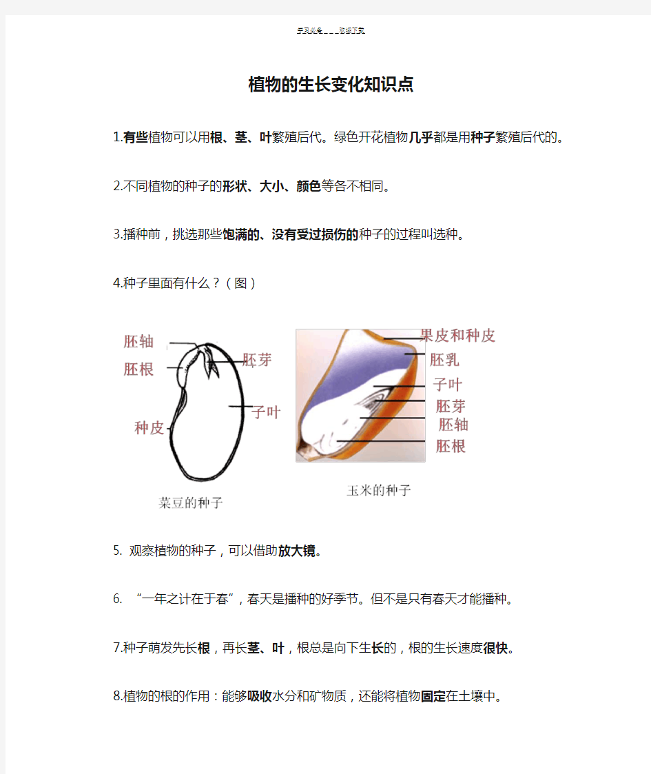 植物的生长变化知识点