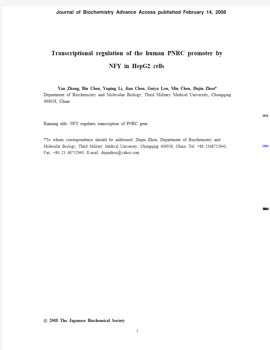 Transcriptional regulation of the human PNRC promoter by NFY in HepG2 cells