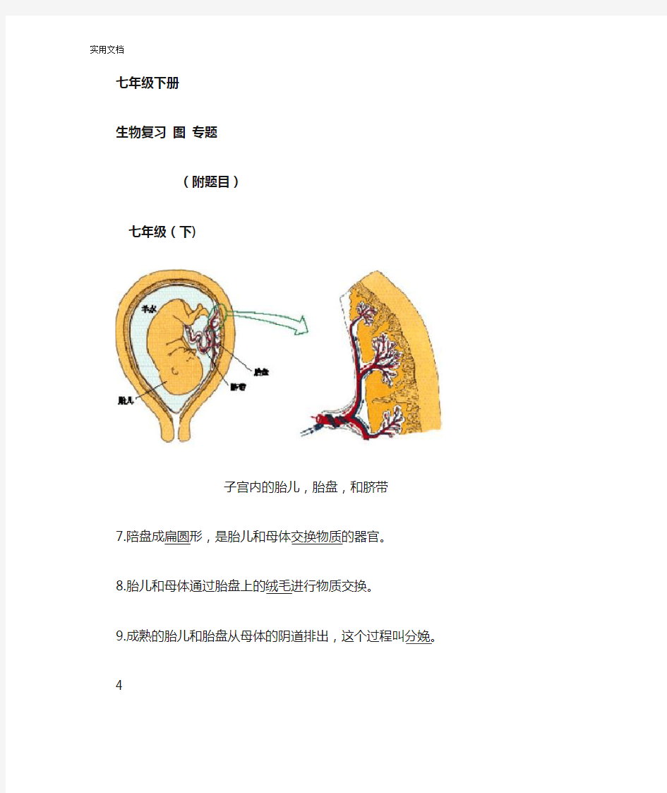 重点：初一下册生物图形题