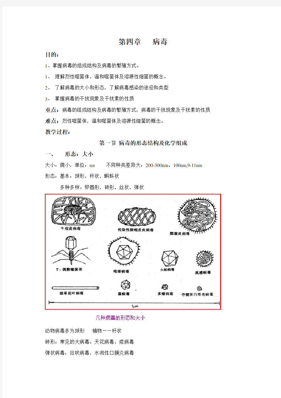 掌握病毒的组成结构及病毒的繁殖方式.