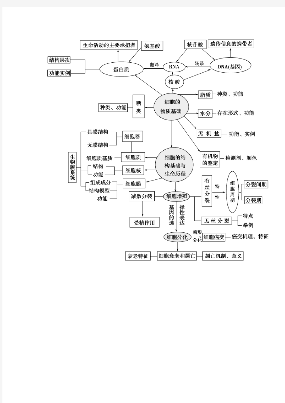 高中生物概念图大全