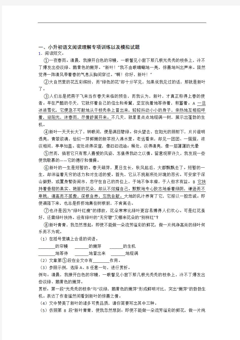 【课内外阅读】人教版六年级重点小学小升初语文模拟试题(含答案)(1)