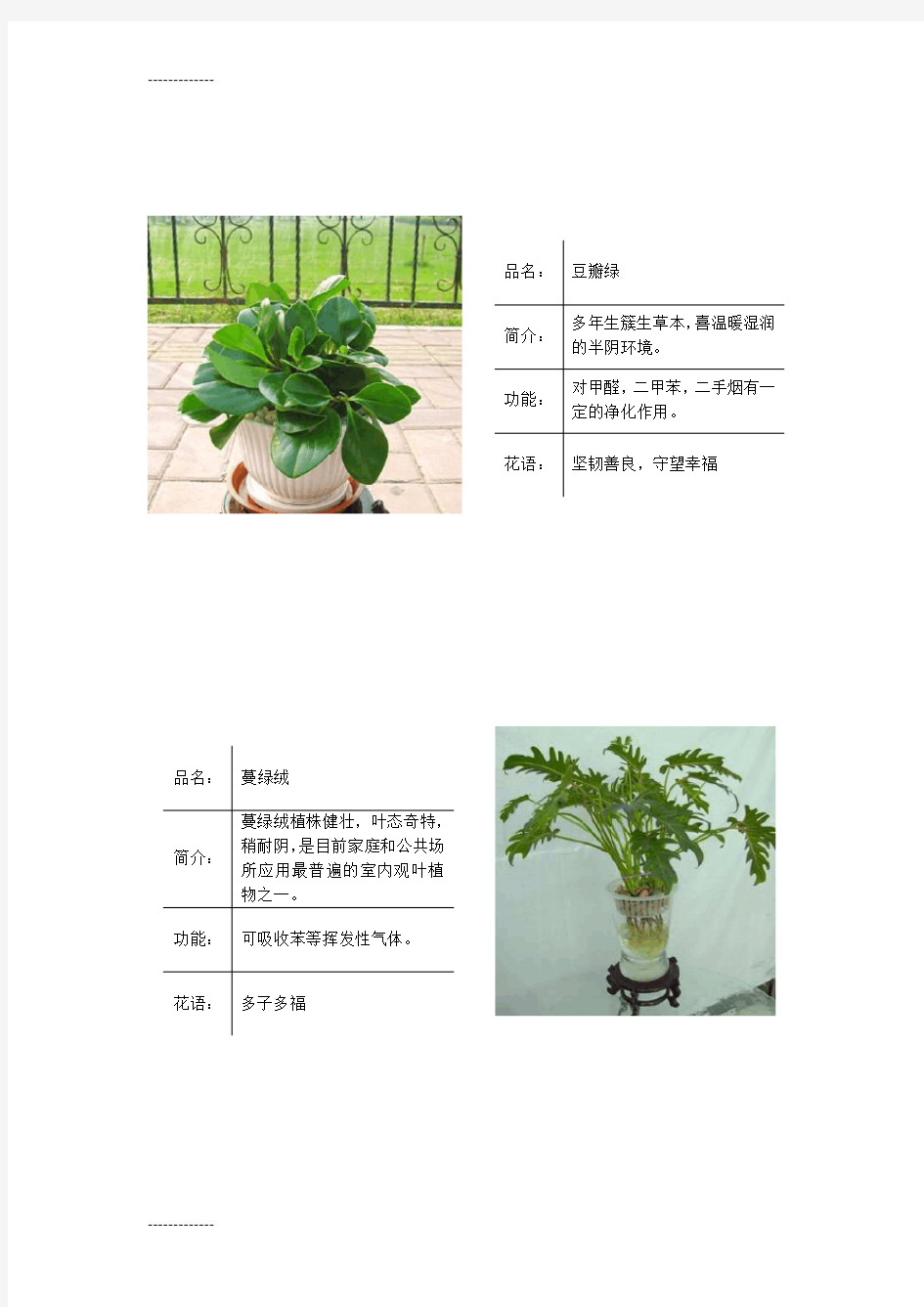 (整理)常见绿色植物图表