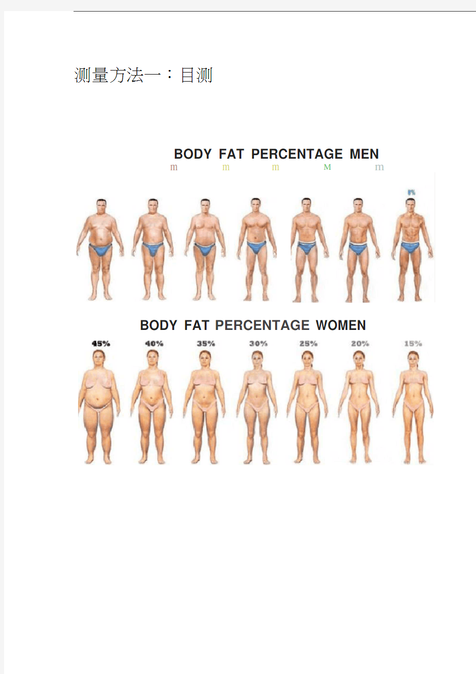 测测你的体脂率附男女标准体脂率对照表