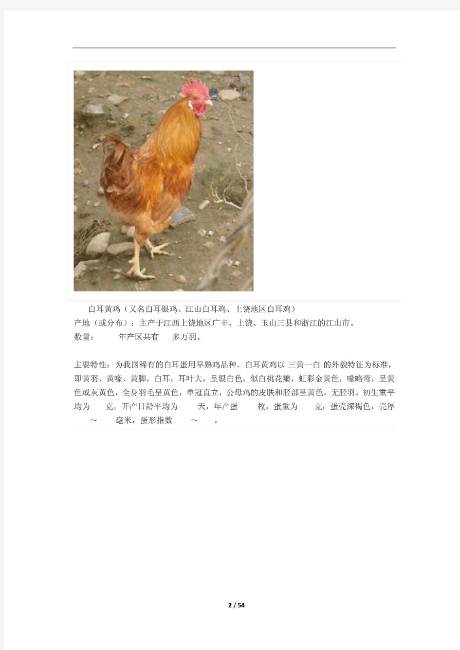 中国最全的鸡的种类资料整理