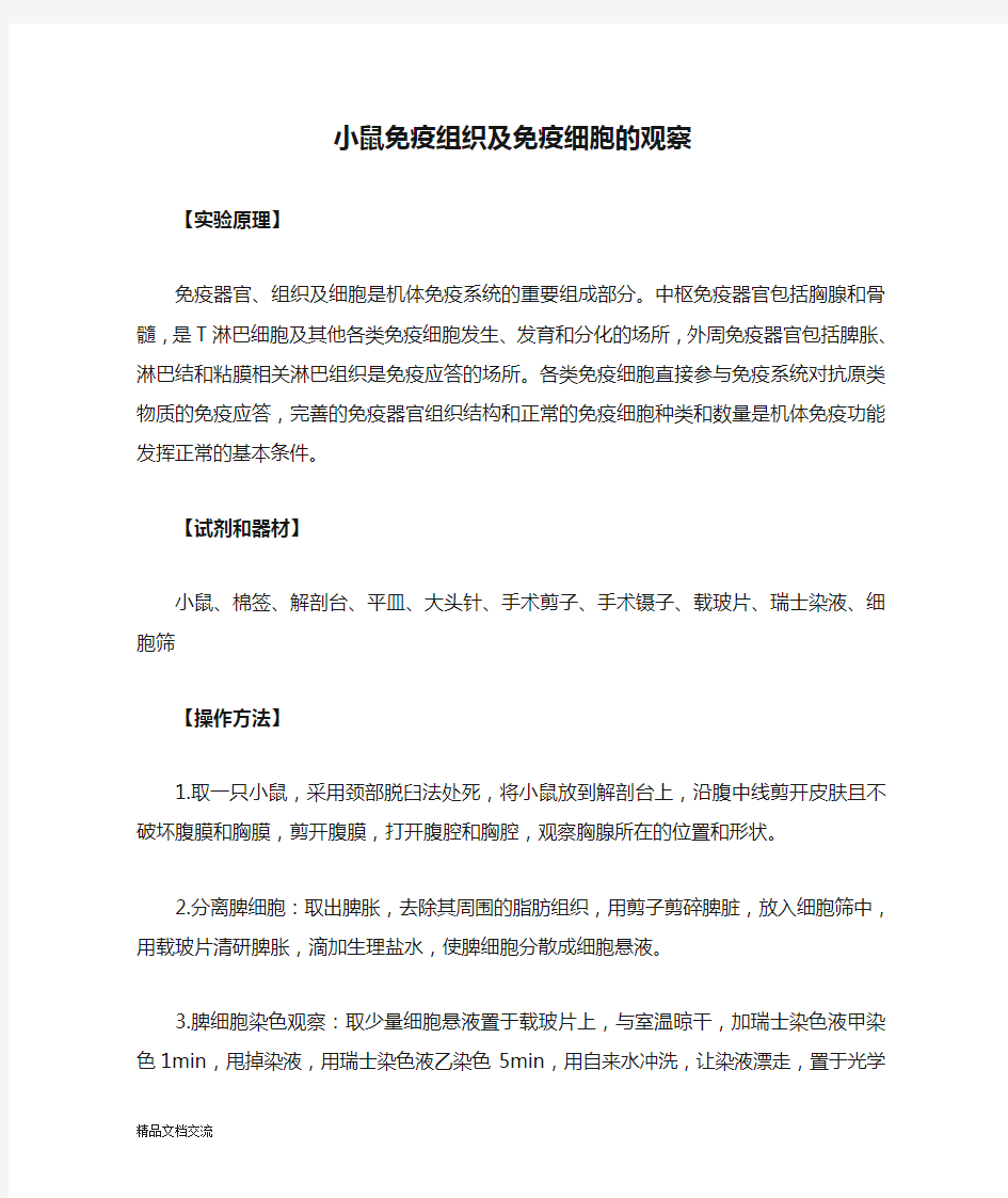 小鼠免疫组织及免疫细胞的观察