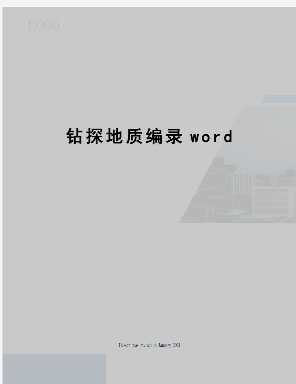 钻探地质编录word