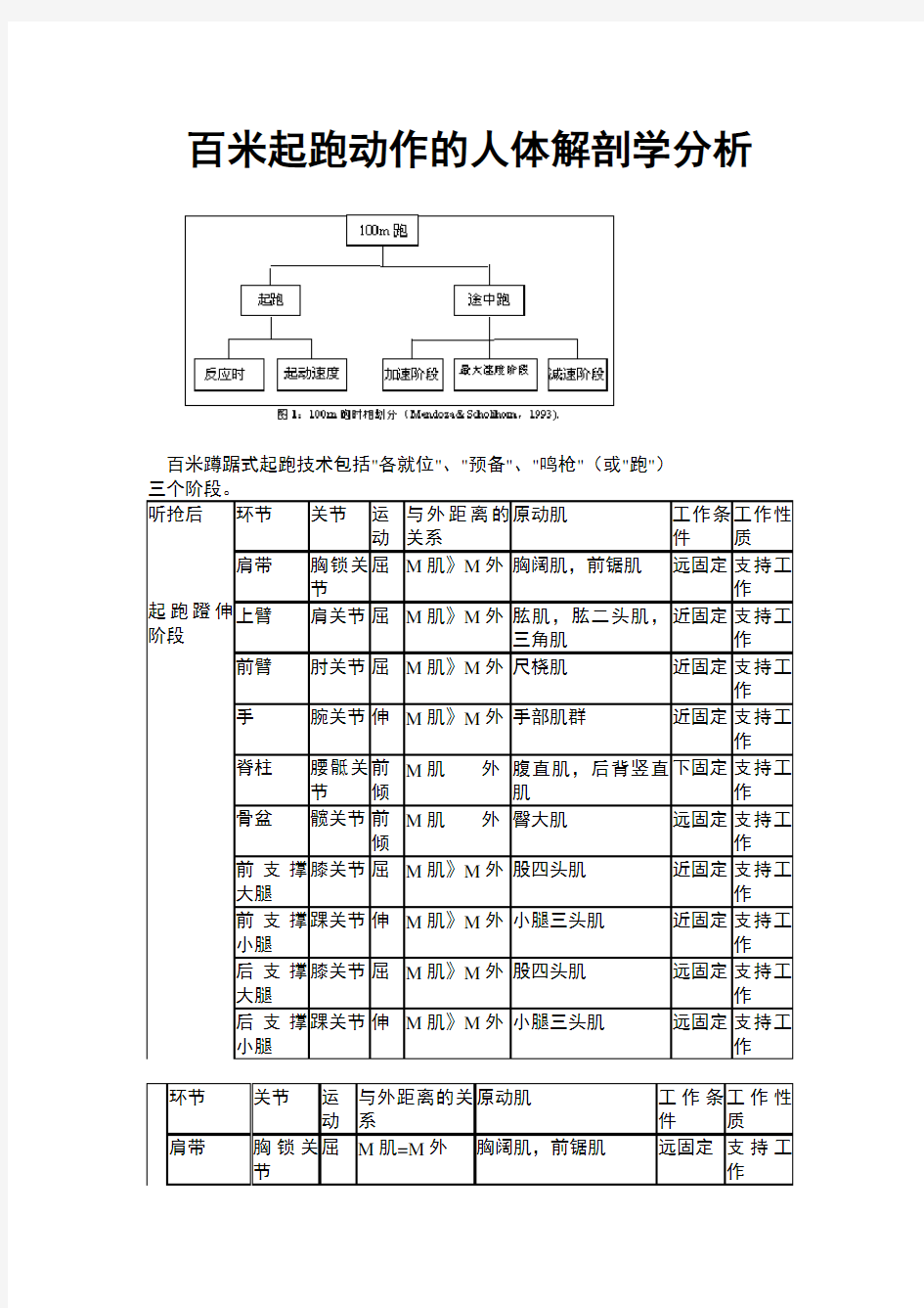 百米起跑动作的人体解剖学分析