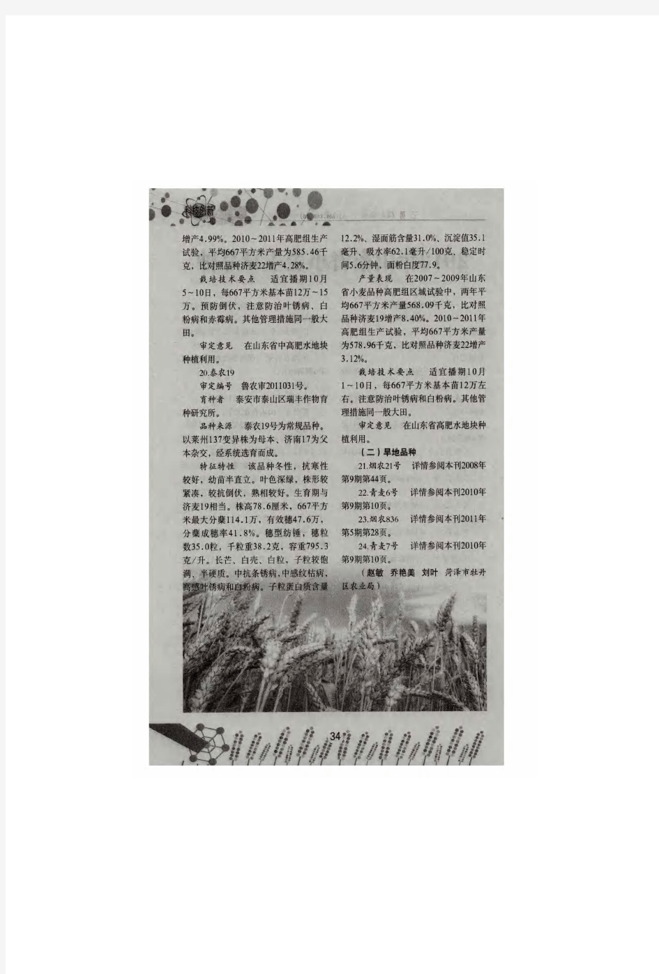 2012年山东省小麦主导品种