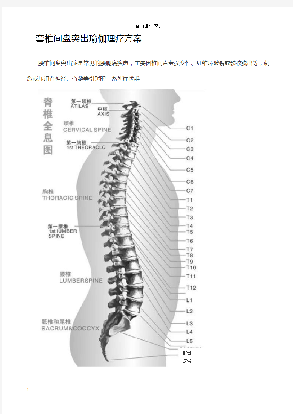 一套椎间盘突出瑜伽理疗方案(加注释)