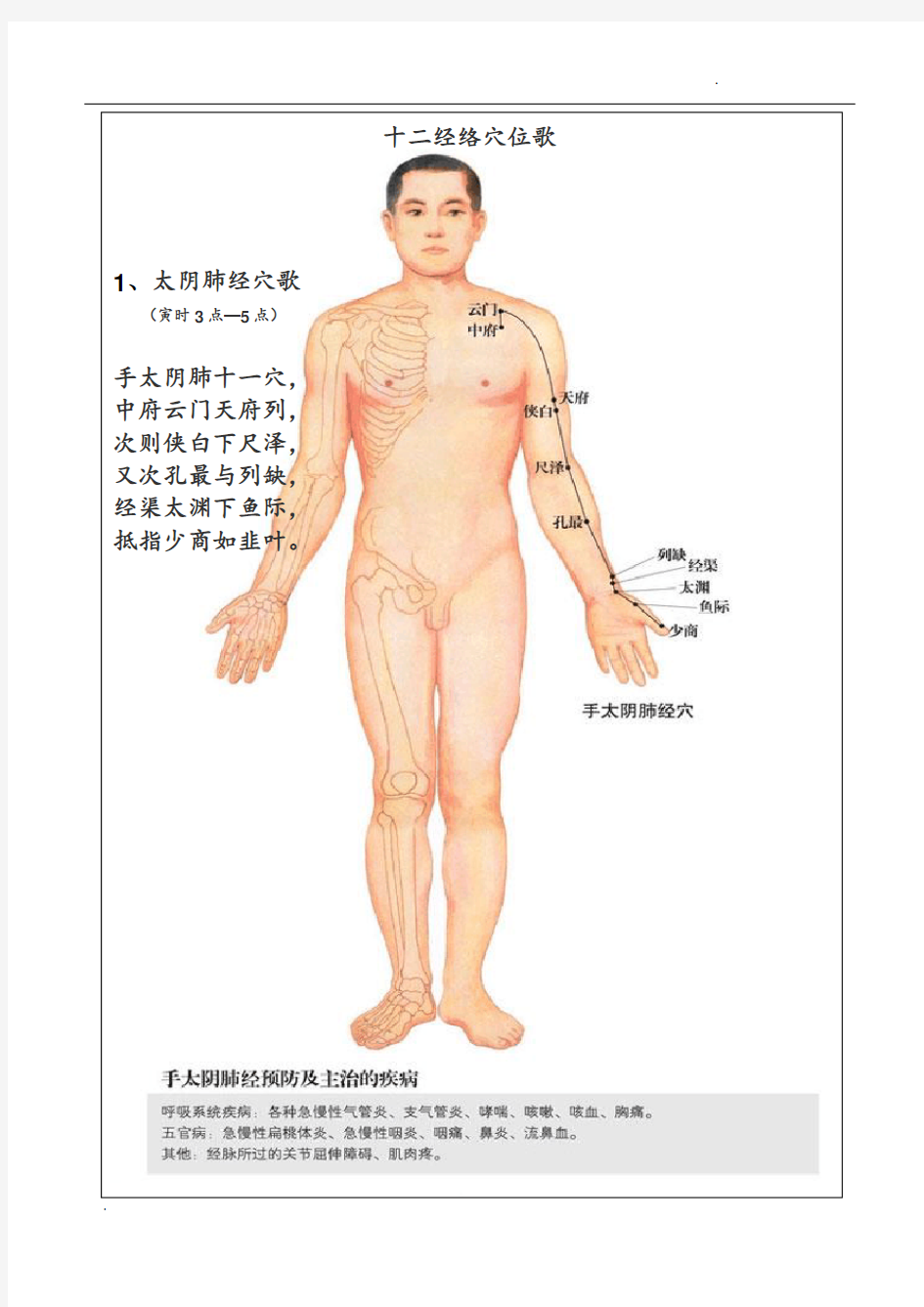 -十二经络穴位歌(图文对照)