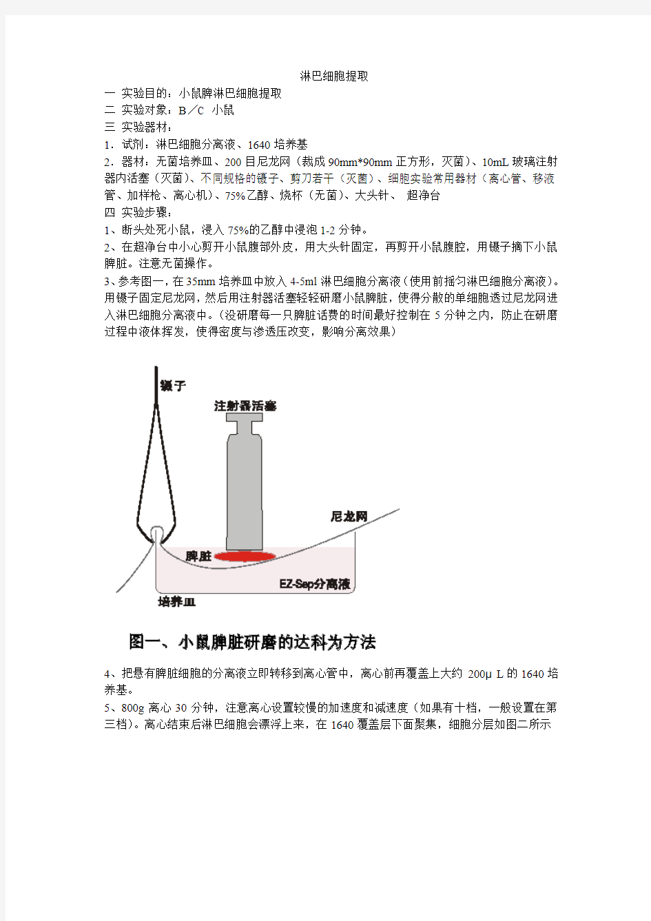 淋巴细胞提取