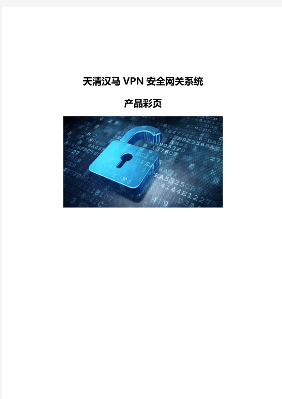 天清汉马VPN安全网关系统产品彩页