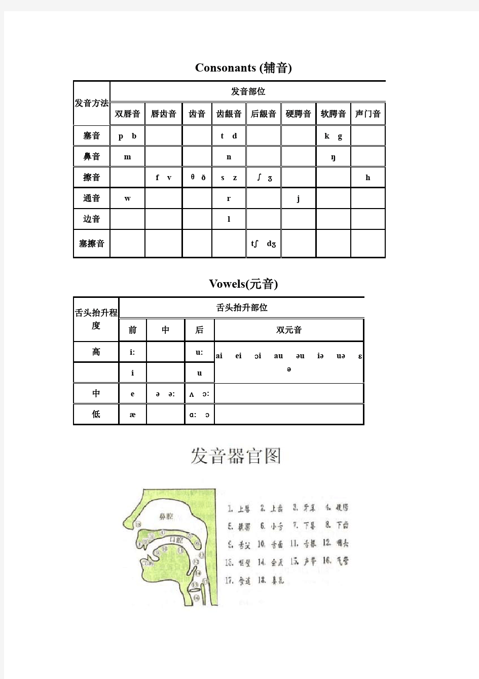 英语 国际音标发音舌位图