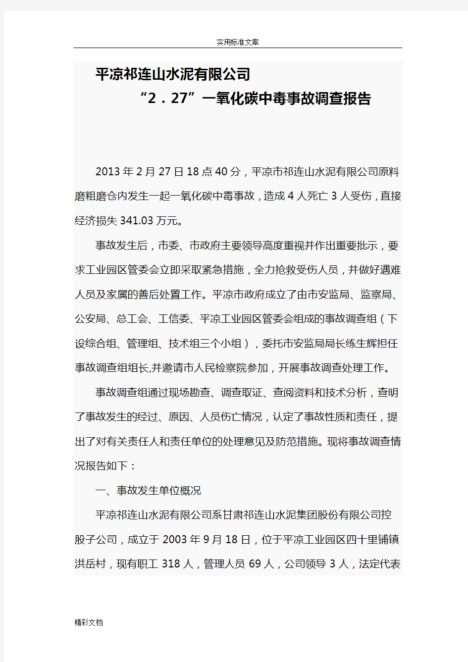 一氧化碳中毒事故调研报告材料