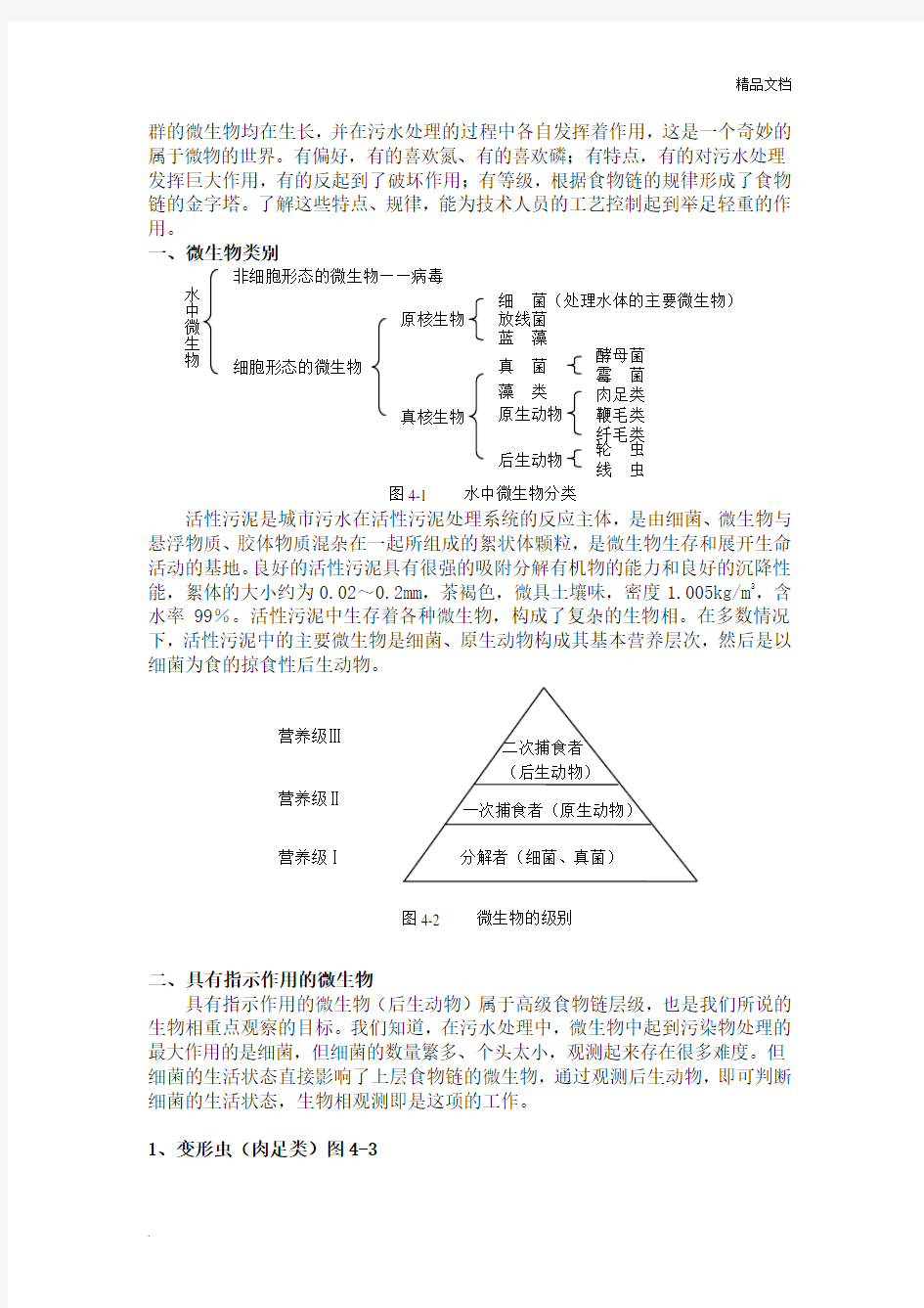 污水处理中的微生物原理