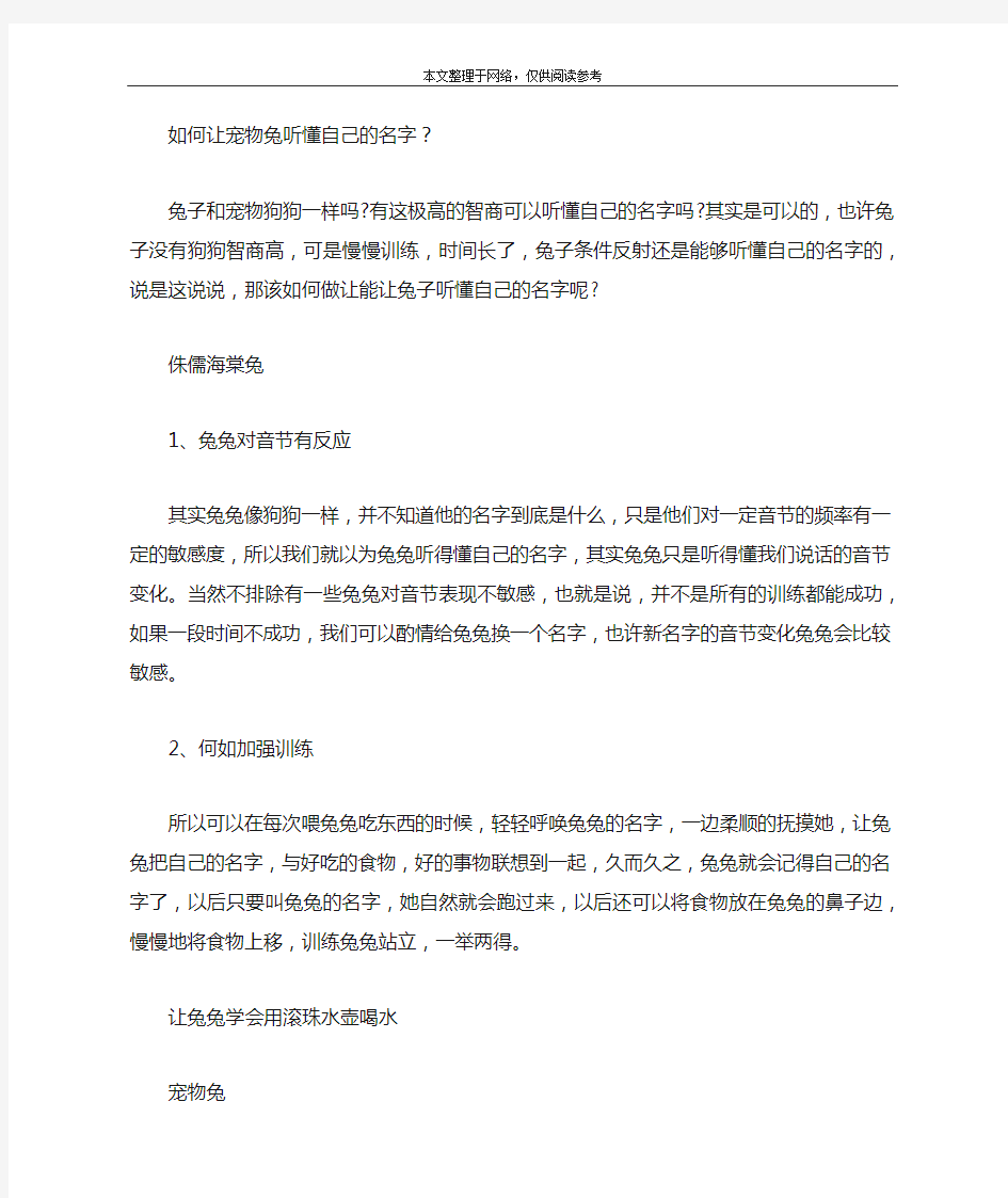 让兔兔学会用滚珠水壶喝水,兔子