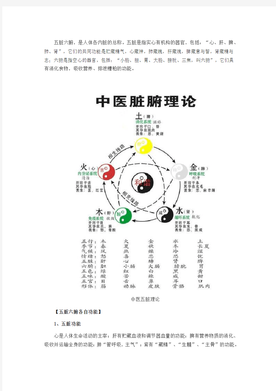 五脏六腑及中医五脏理论