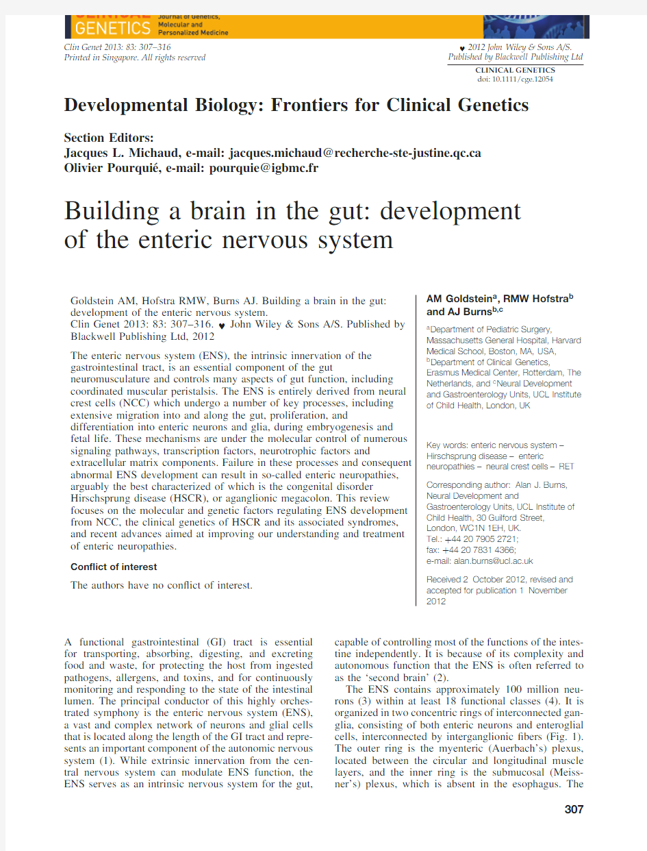 Building a brain in the gut development of the enteric nervous system