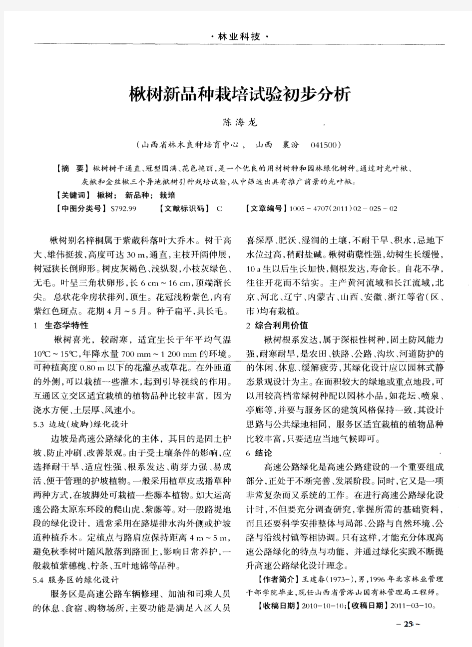 楸树新品种栽培试验初步分析