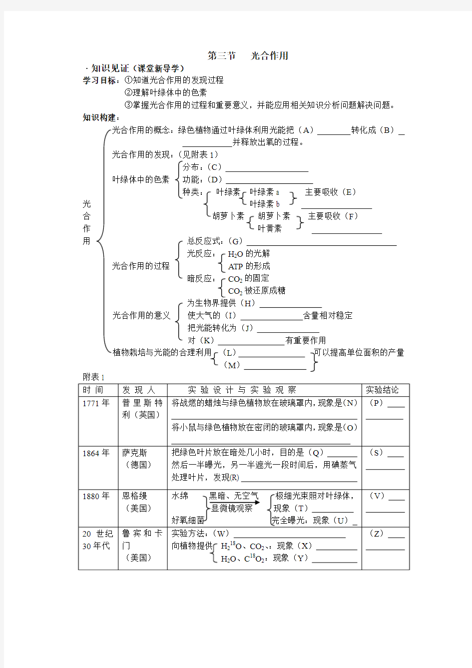 第三节光合作用