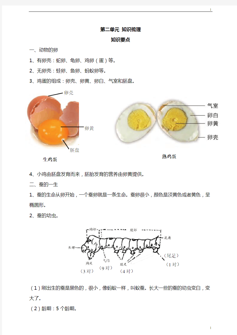 教科版小学科学新版本三年级下册科学第二单元 动物的一生 知识要点