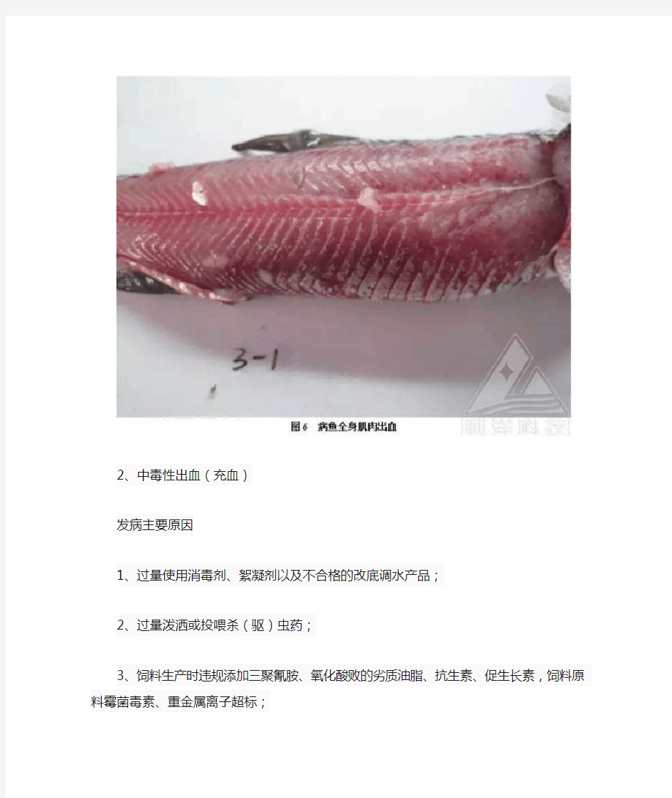 几种鱼类出血病原因分析