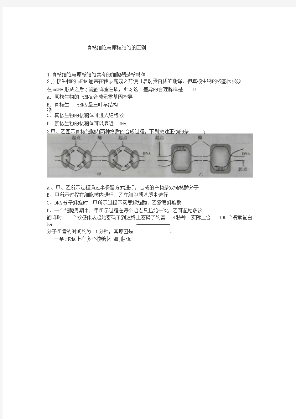 真核细胞与原核细胞转录翻译的区别