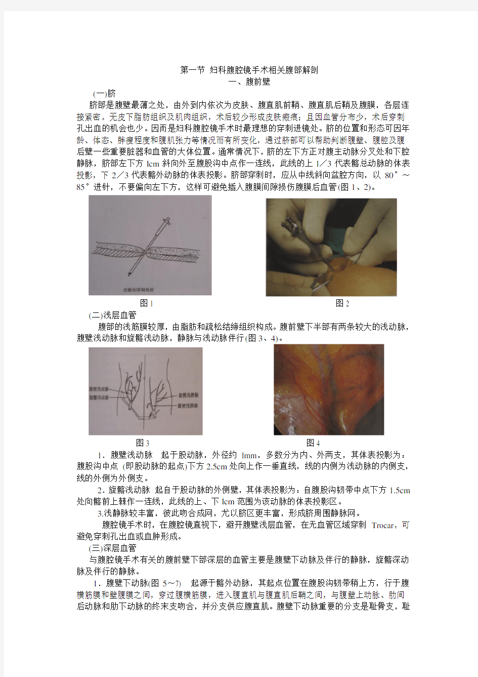 妇科腹腔镜手术相关腹部解剖