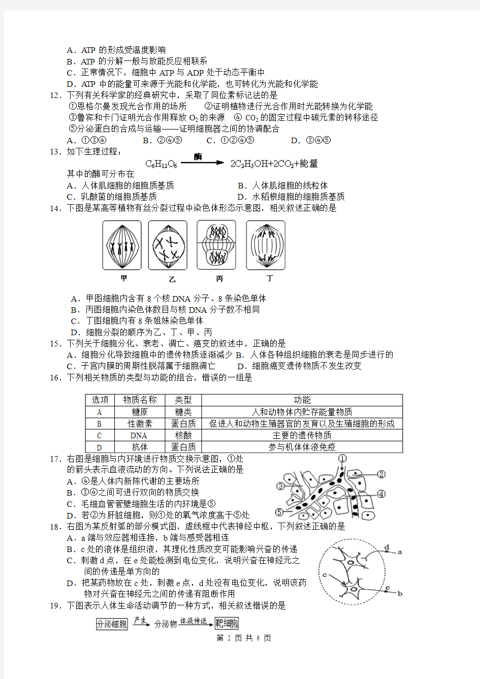 2015年江苏省海安高级中学第一学期期末调研考试(生物必修二)