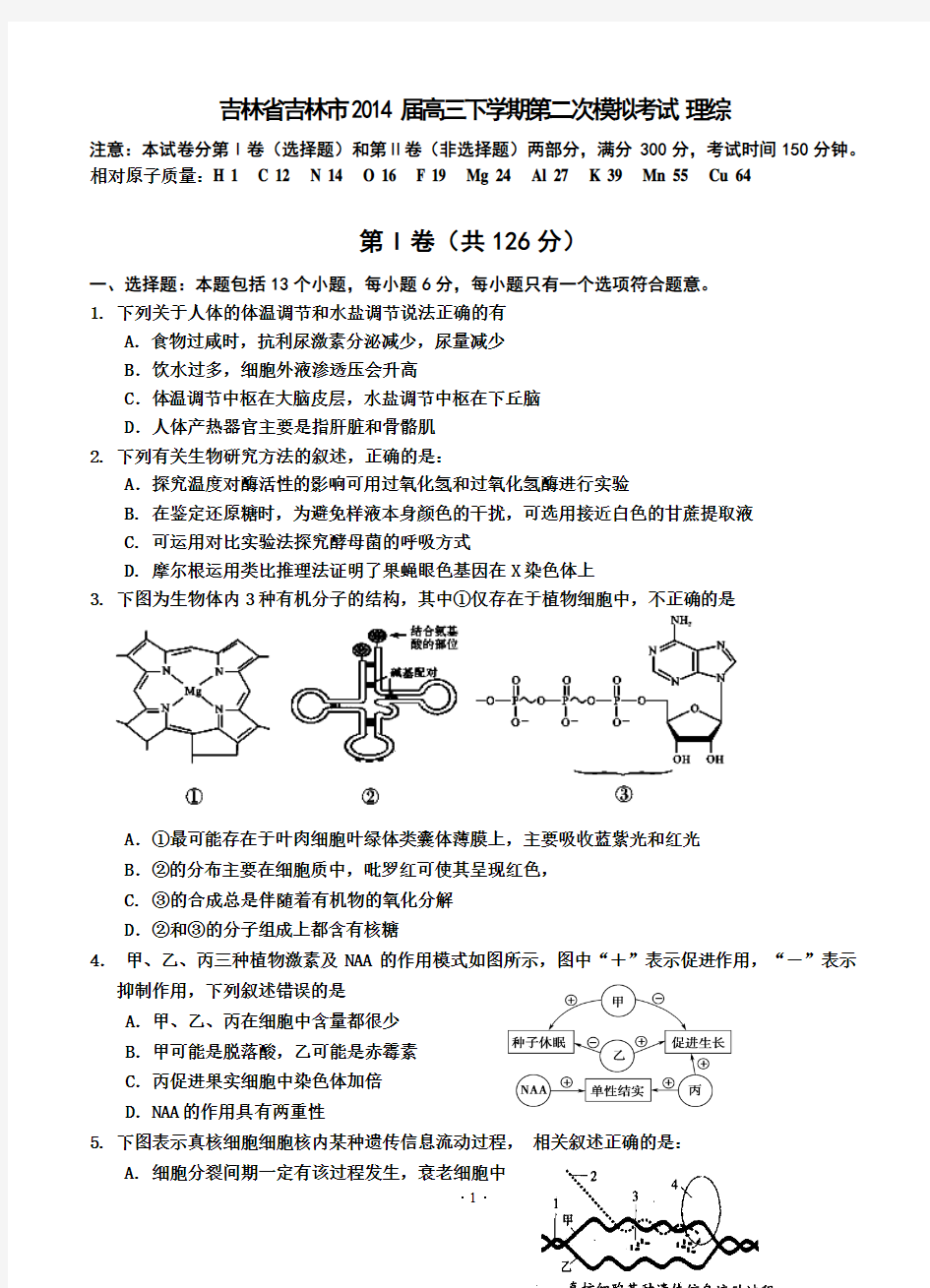 吉林省吉林市2014届高三下学期第二次模拟考试_理综(2014吉林二模)