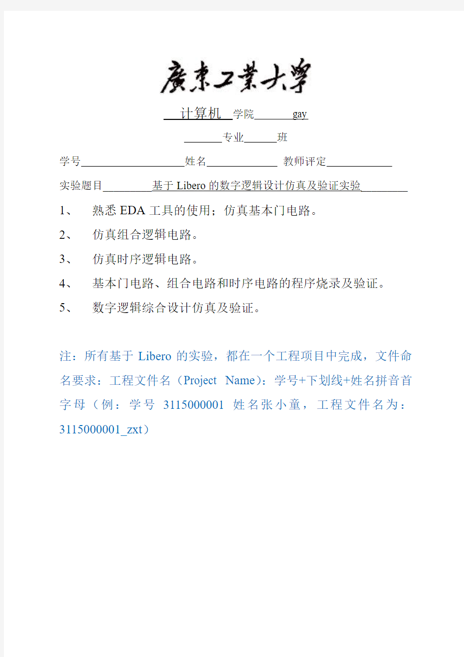 基于Libero的数字逻辑设计仿真及验证实验实验报告(1_2)