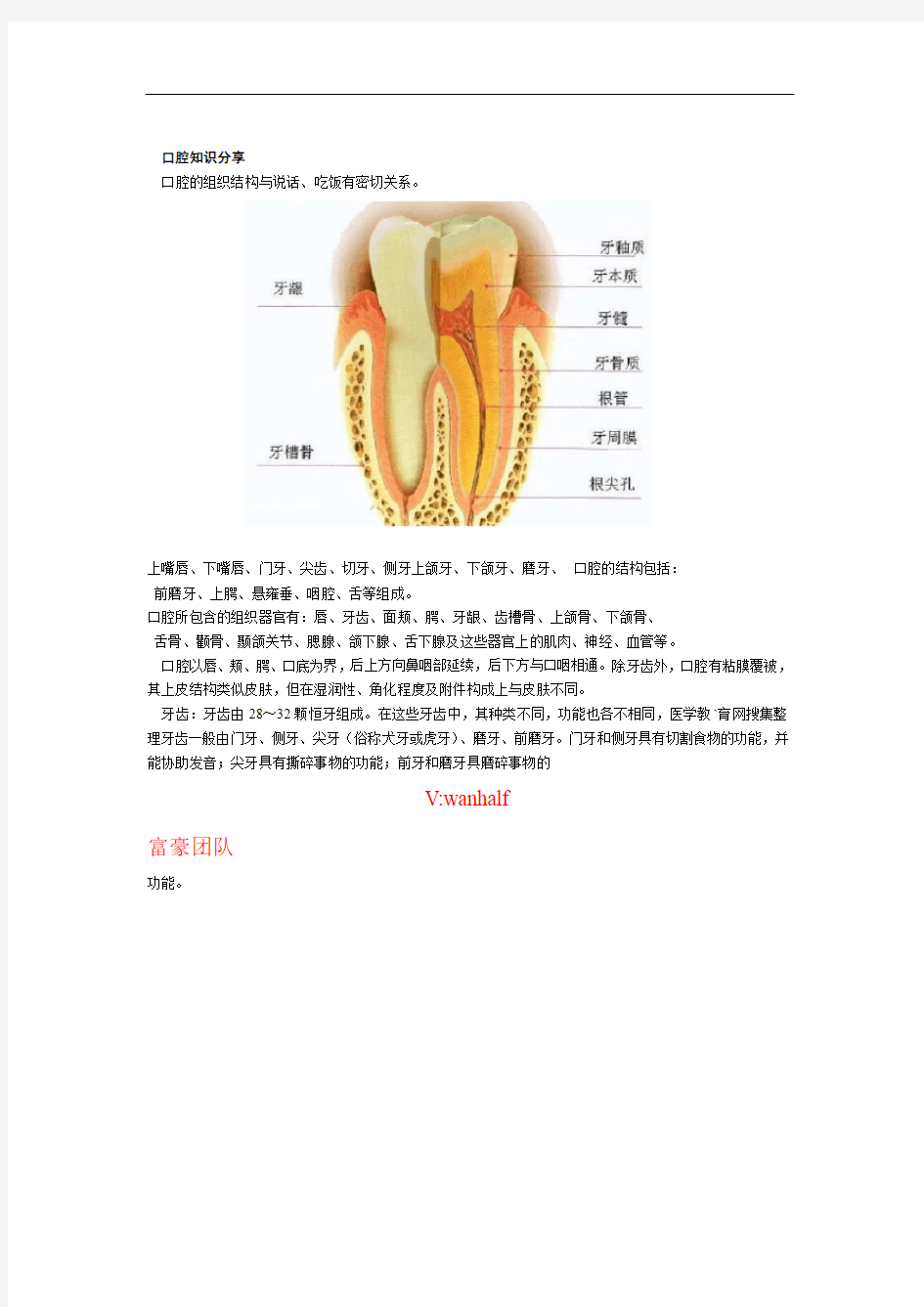 口腔知识大全