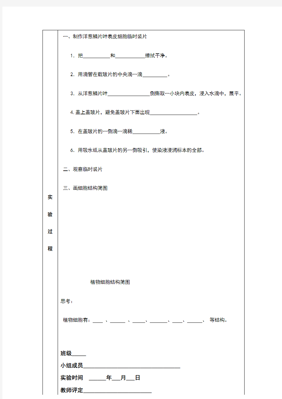 观察植物细胞的实验报告