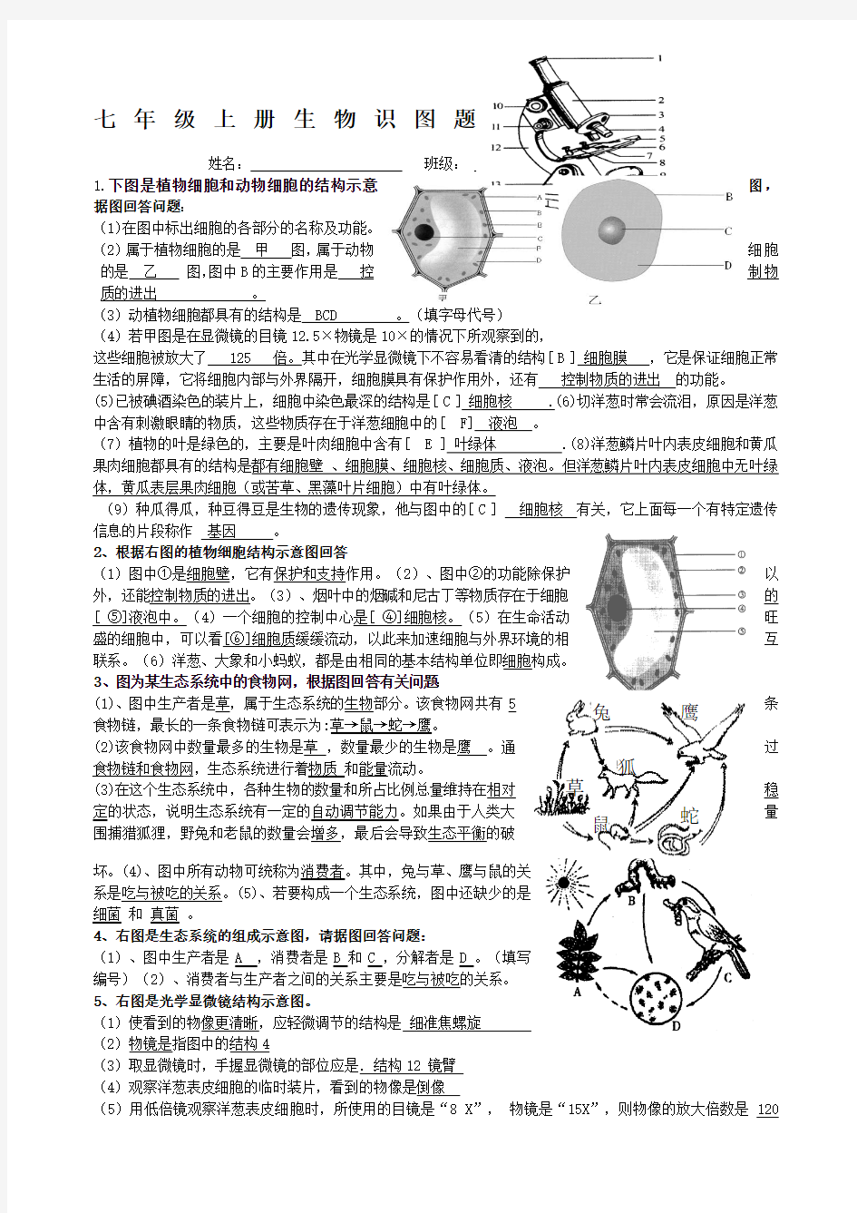 生物七年级生物上册识图题带答案