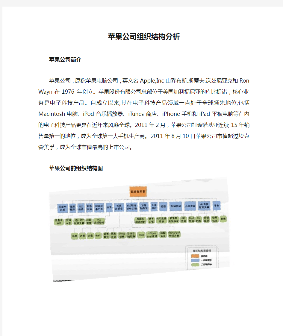 苹果公司组织结构分析.doc