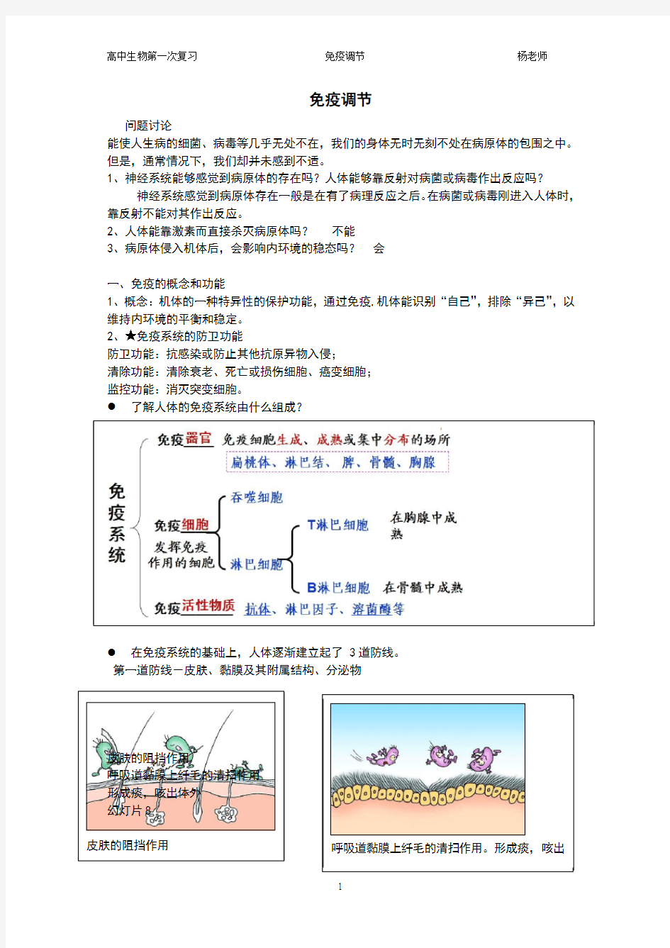 高中生物总复习——免疫调节