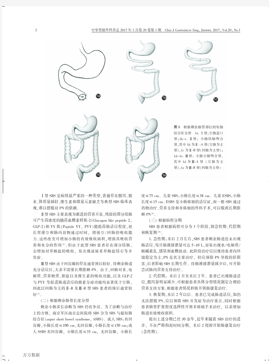 中国短肠综合征诊疗共识(2016年版,南京)